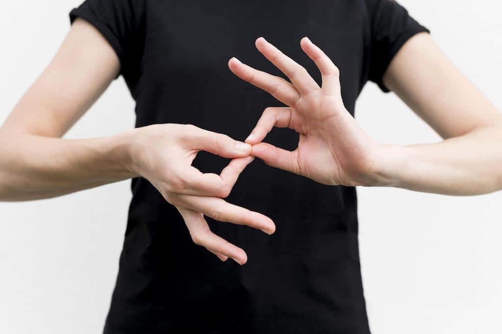 Video Remote Interpreter, american sign language