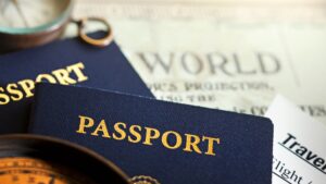 Immigration Language Access